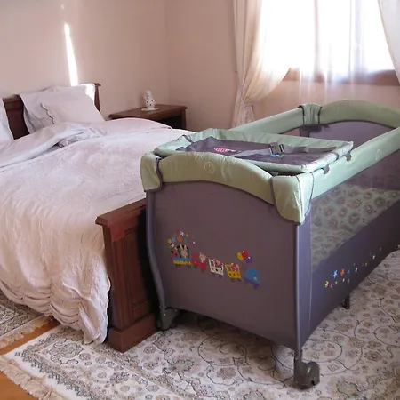 Alisa Penzion