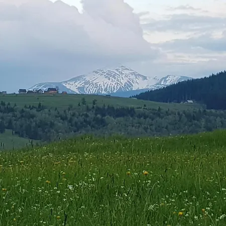 Alisa Guest house Lazeshchyna