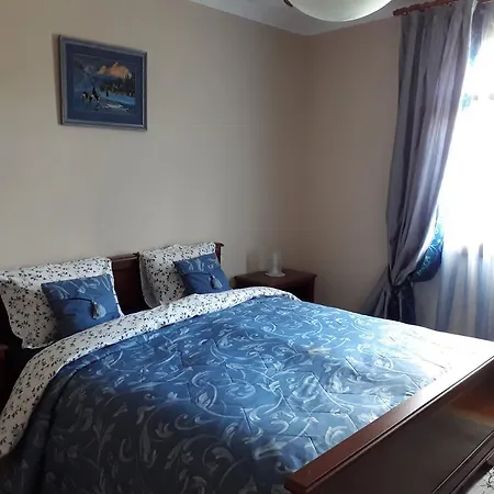 Alisa Guest house